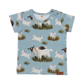 Goat Family - Cotton (Organic)